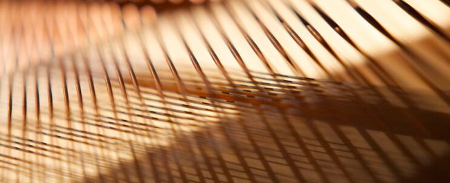 a close up image of the strings of a grand piano bathed in gold light